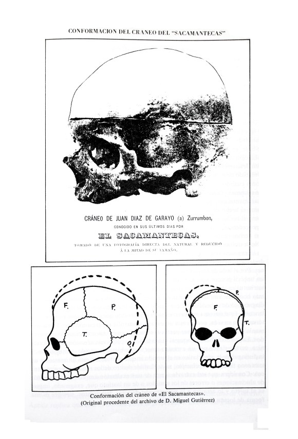 craneo sacamantecas - scan.jpg